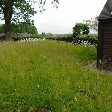 Bond'S Cottage Barn Royal Tunbridge Wells Exteriör bild