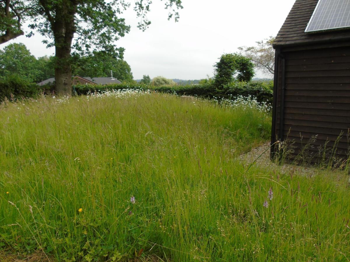 Bond'S Cottage Barn Royal Tunbridge Wells Exteriör bild